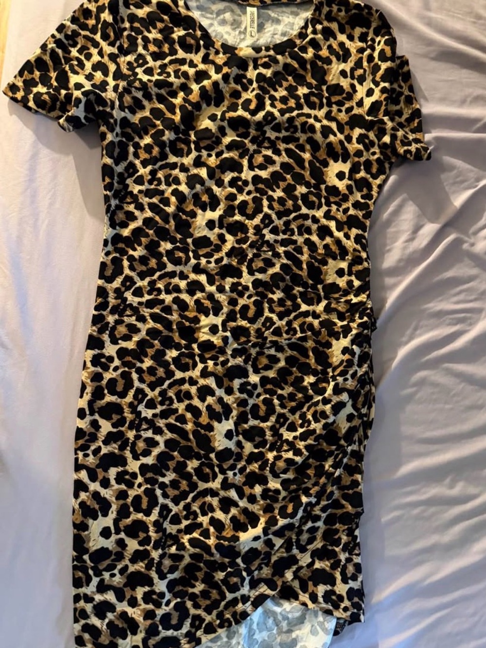 Leopard Dress